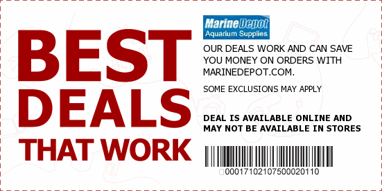 Marine Depot Coupons
