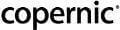 Copernic Coupon Codes