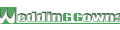 Wedding Gowns Wholesale Coupons