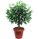 Amcor AM-70 Air Purifier Coupons