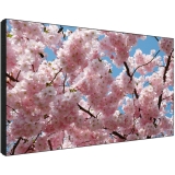 Sharp PN-V601 Digital Signage Display Coupons